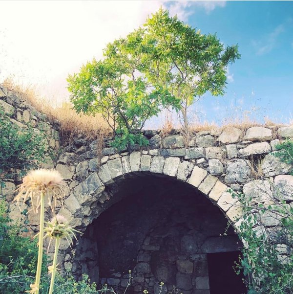 صور بيوت قرية صوبا المهجرة/ صفحة قرية صوبا