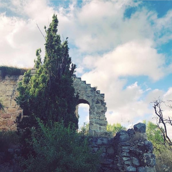 صور بيوت قرية صوبا المهجرة/ صفحة قرية صوبا