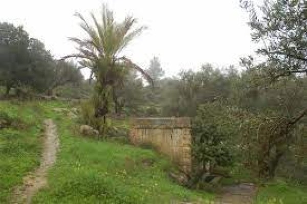  | موسوعة القرى الفلسطينية