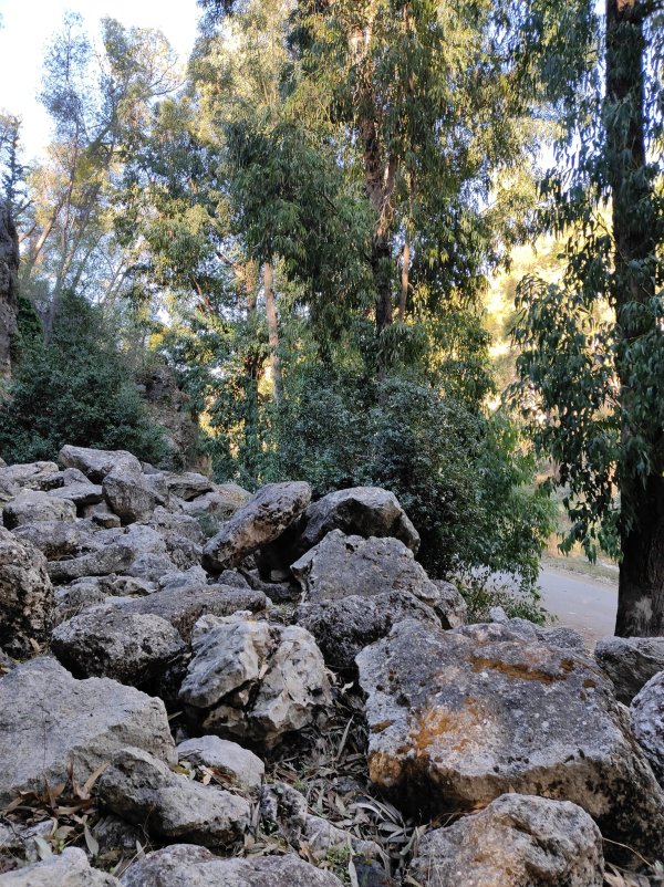  | موسوعة القرى الفلسطينية