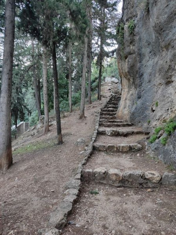  | موسوعة القرى الفلسطينية