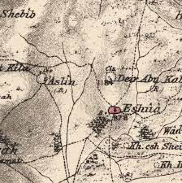 خريطة قرية عسلين