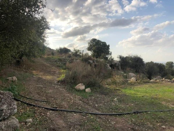  | موسوعة القرى الفلسطينية