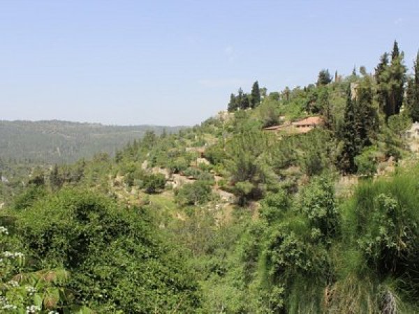  | موسوعة القرى الفلسطينية