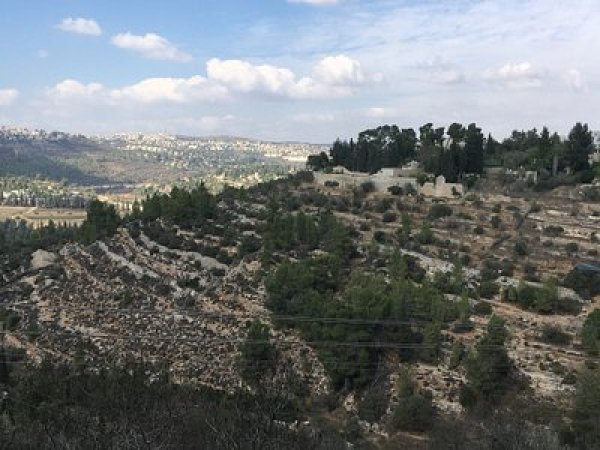  | موسوعة القرى الفلسطينية