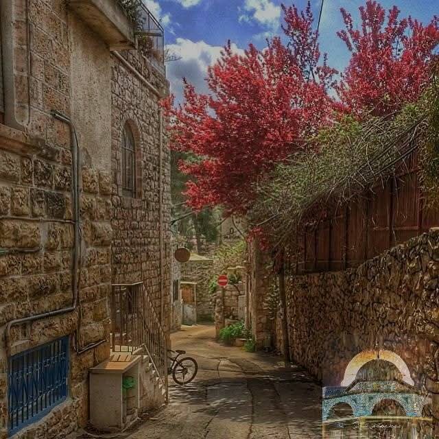  | موسوعة القرى الفلسطينية