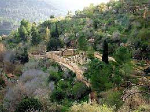  | موسوعة القرى الفلسطينية