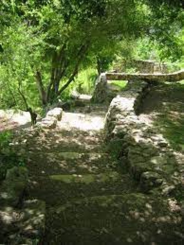  | موسوعة القرى الفلسطينية