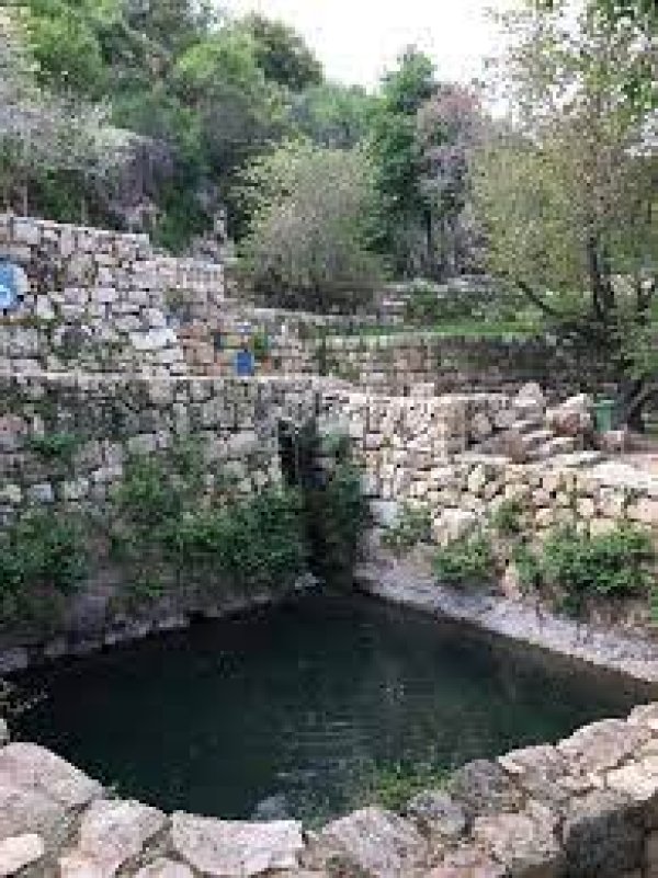  | موسوعة القرى الفلسطينية