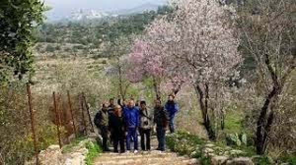  | موسوعة القرى الفلسطينية