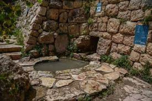  | موسوعة القرى الفلسطينية