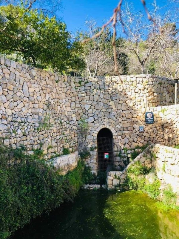  | موسوعة القرى الفلسطينية