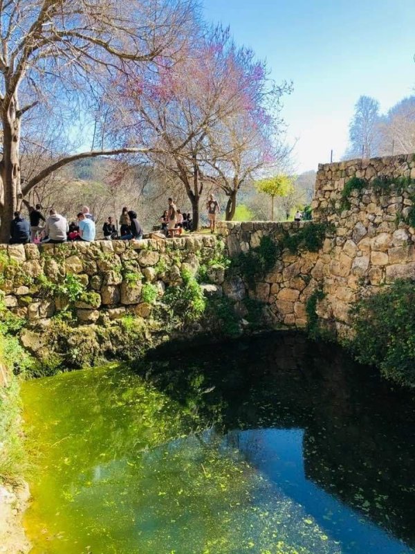  | موسوعة القرى الفلسطينية