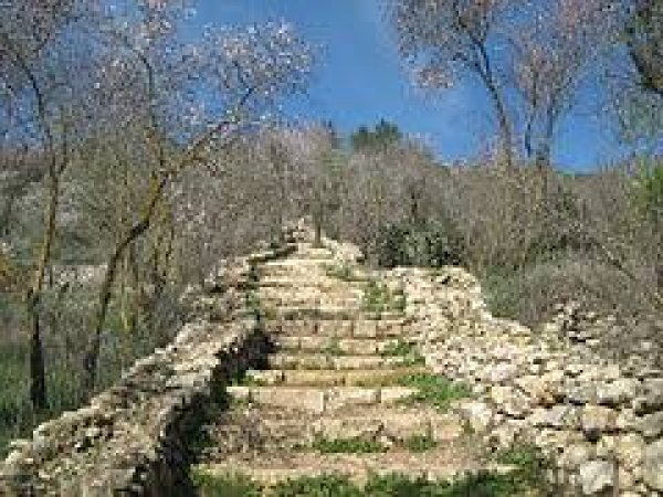  | موسوعة القرى الفلسطينية