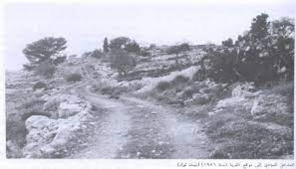 قرية بيت ام الميس