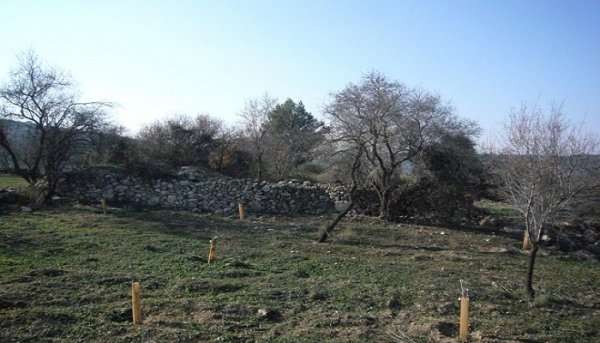 قرية بيت ام الميس