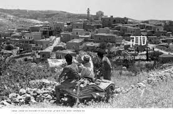 قرية المالحة