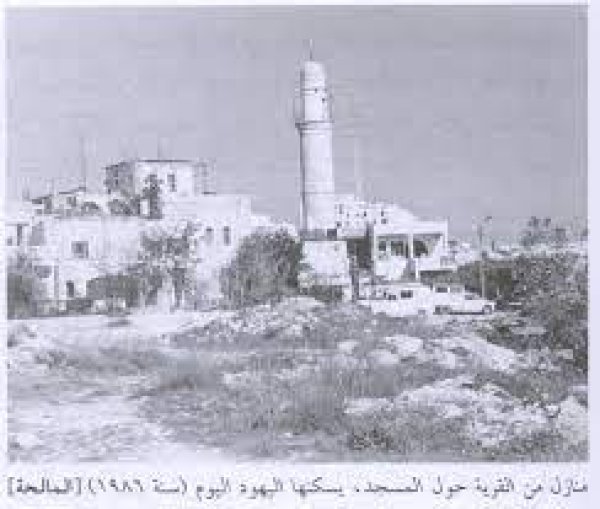 قرية المالحة