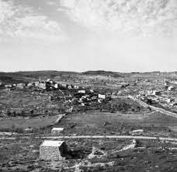 قرية المالحة