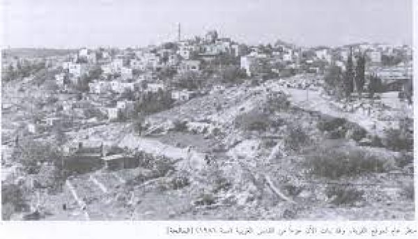 قرية المالحة