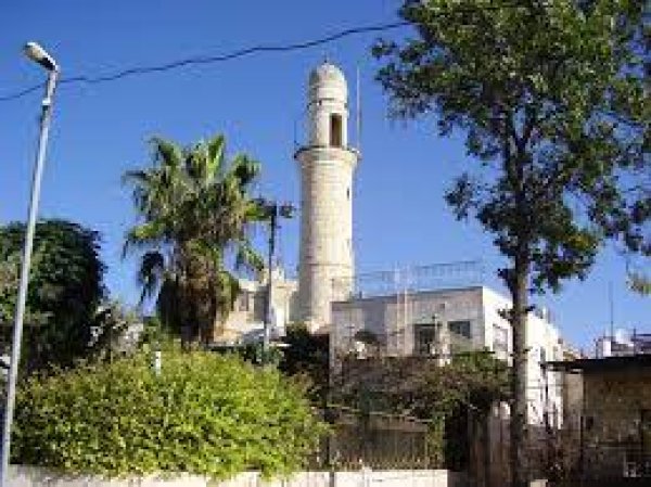 قرية المالحة