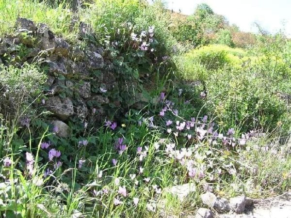 قرية الجورة / القدس