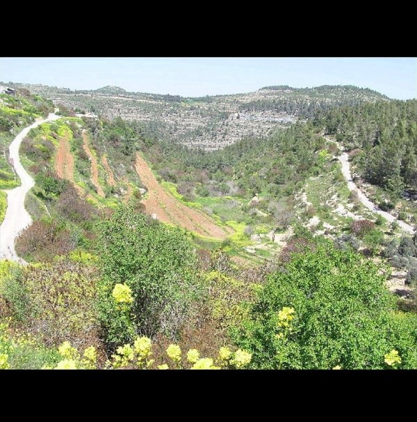 قرية الجورة / القدس