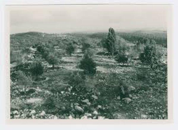  | موسوعة القرى الفلسطينية