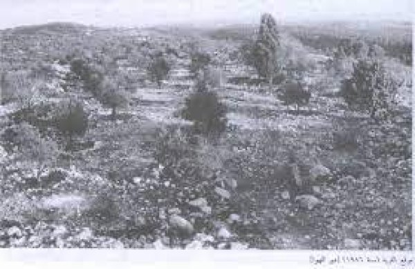  | موسوعة القرى الفلسطينية