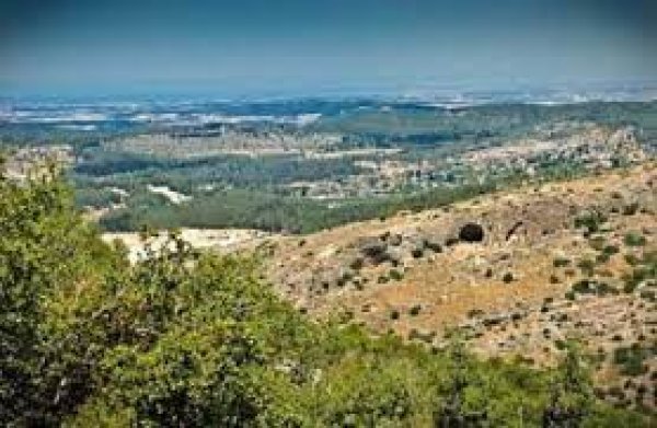  | موسوعة القرى الفلسطينية