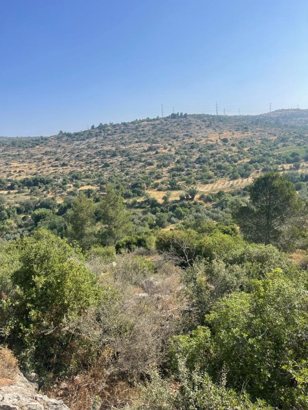  | موسوعة القرى الفلسطينية