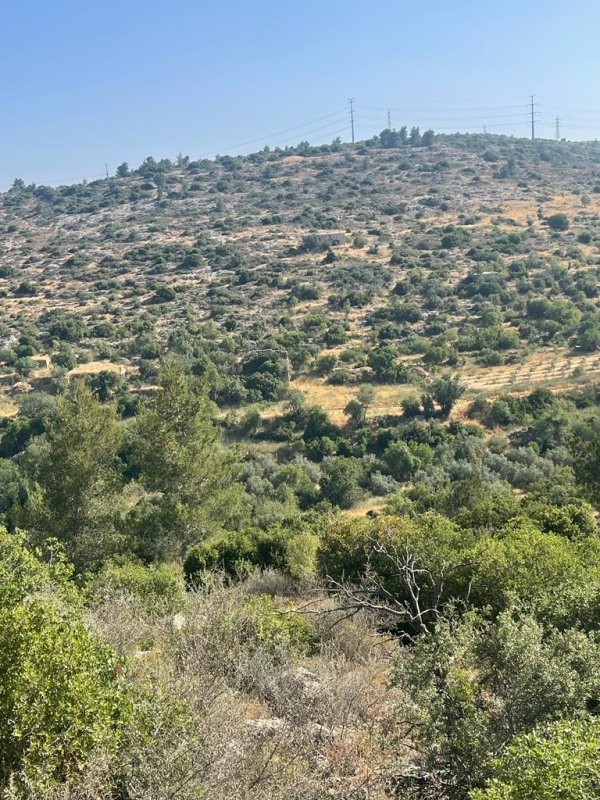  | موسوعة القرى الفلسطينية