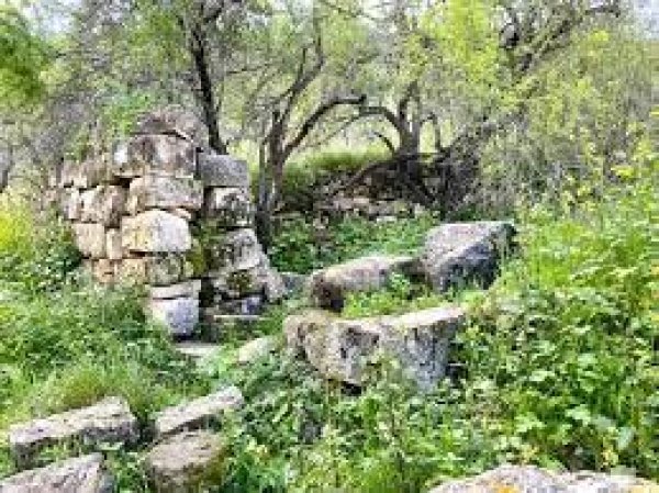  | موسوعة القرى الفلسطينية