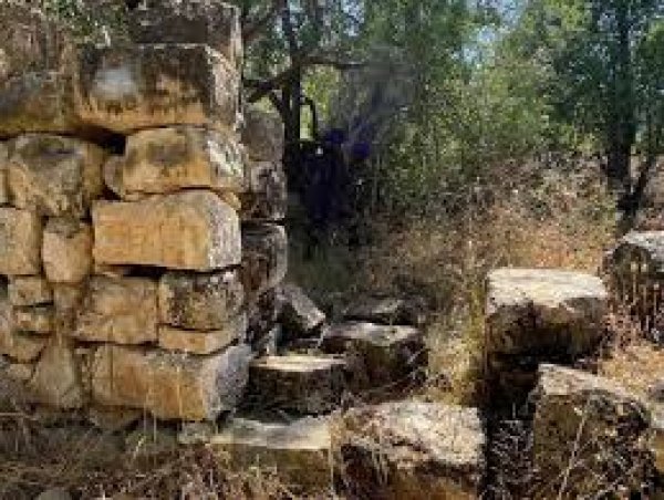  | موسوعة القرى الفلسطينية