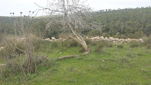 قرية سفلى / القدس