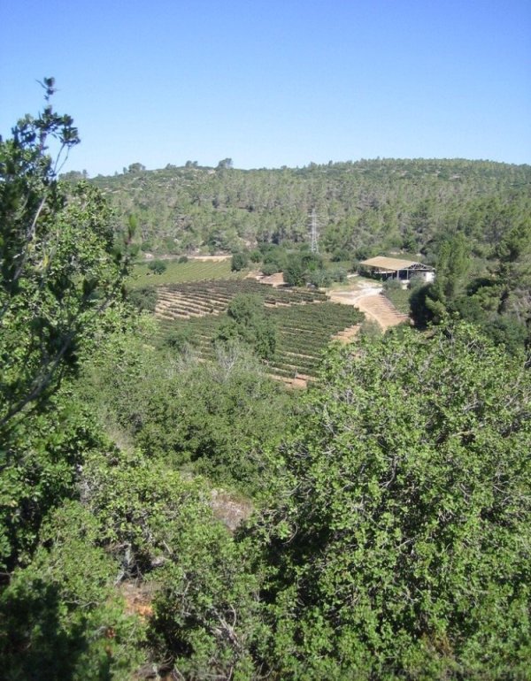 قرية سفلى / القدس