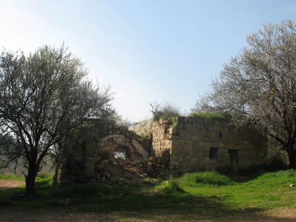  | موسوعة القرى الفلسطينية