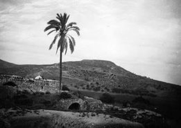  | موسوعة القرى الفلسطينية