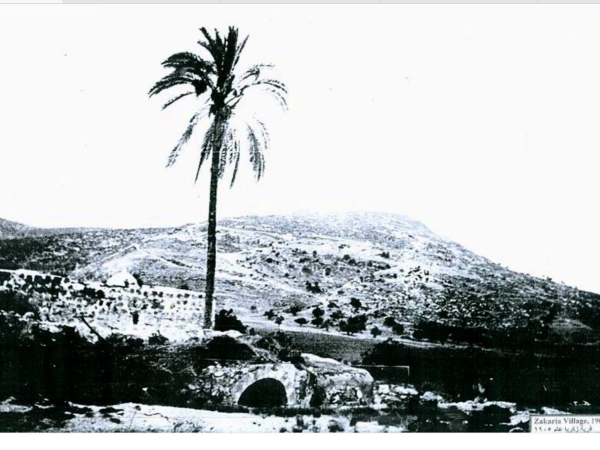  | موسوعة القرى الفلسطينية