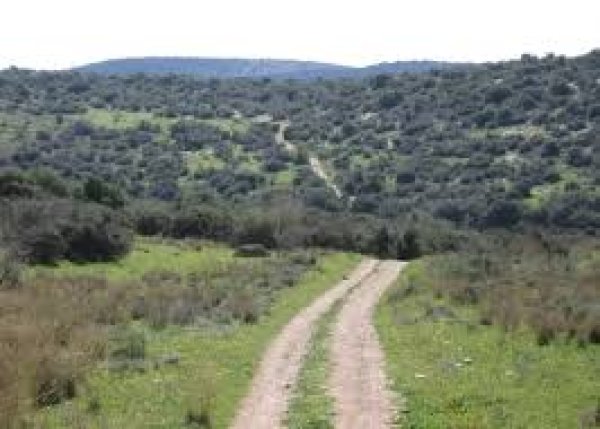 قرية بيت نتيف / الخليل