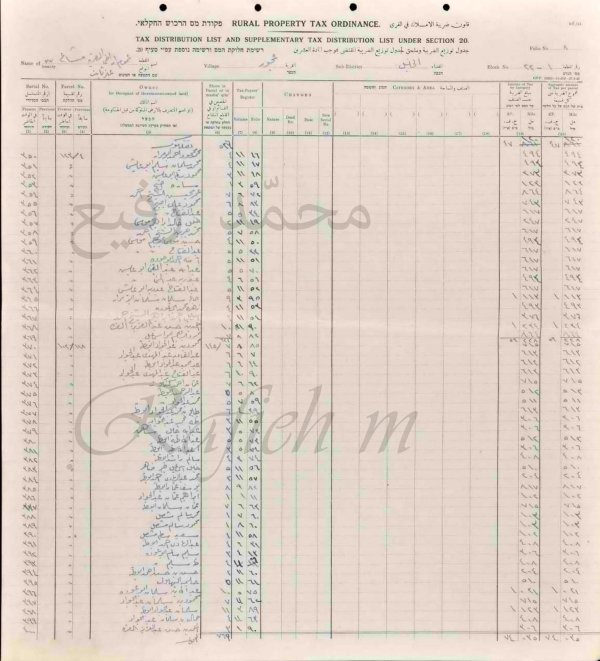 اسماء دافعي الضرائب   عجور