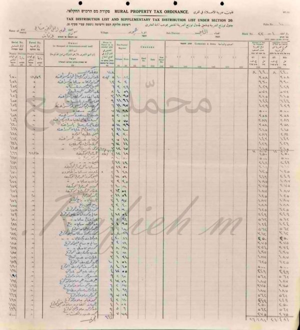 اسماء دافعي الضرائب   عجور