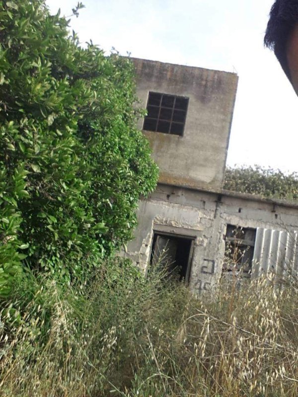 منزل السيد حسن ابو زهيرة في عجور والمهجور منذ عام النكسة. مشاركة الاستاذ: أحمد العجوري