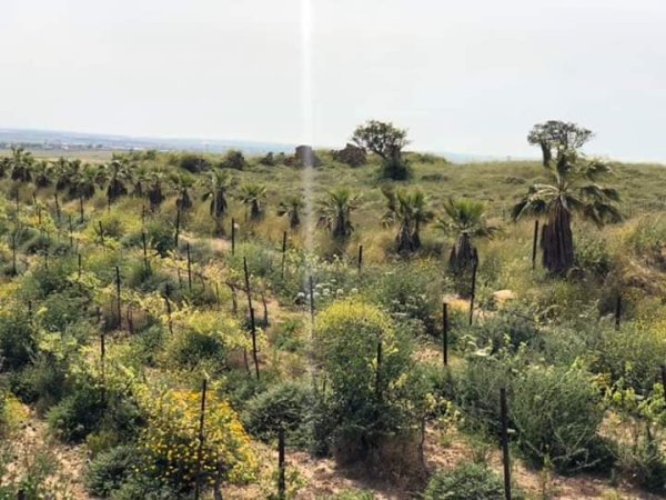 قرية دير الدُّبان / الخليل