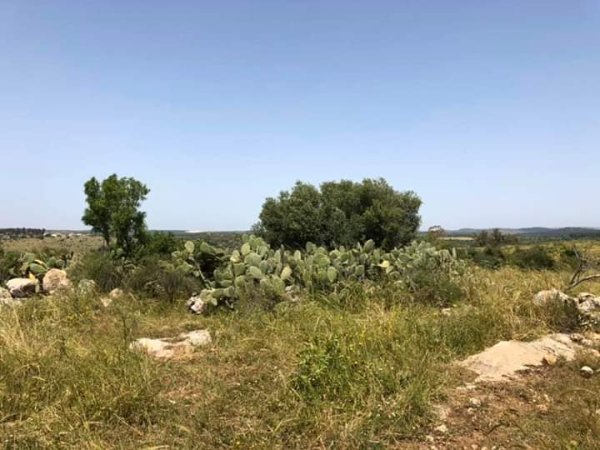 قرية دير الدُّبان / الخليل