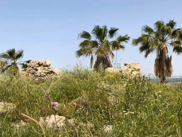 قرية دير الدُّبان / الخليل