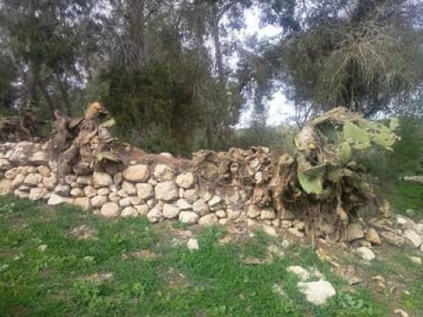 قرية دير الدُّبان / الخليل