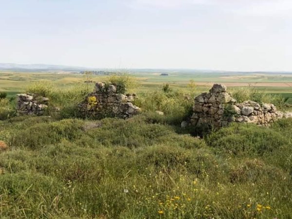 قرية دير الدُّبان / الخليل