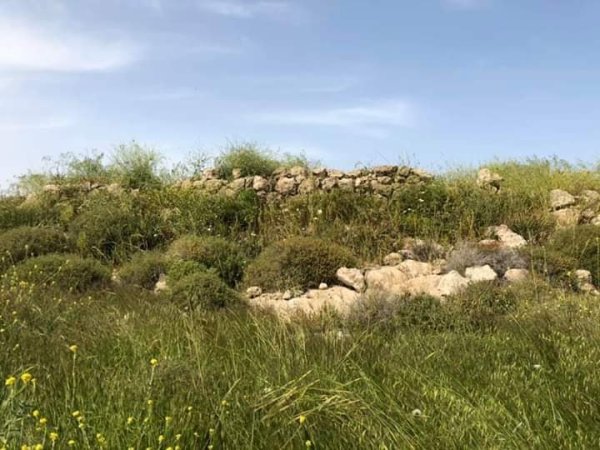 قرية دير الدُّبان / الخليل