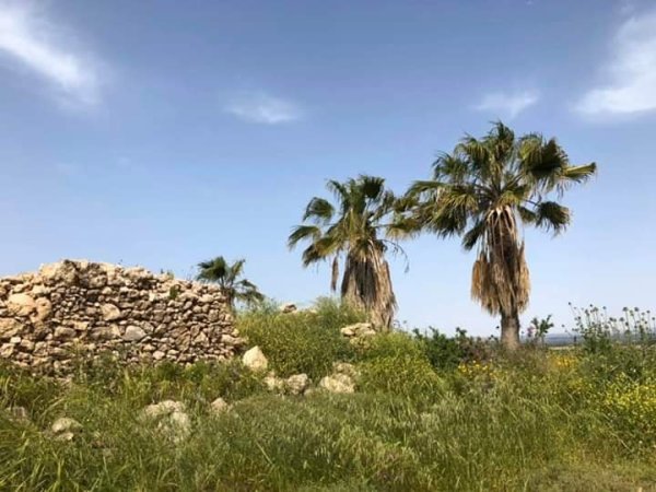 قرية دير الدُّبان / الخليل